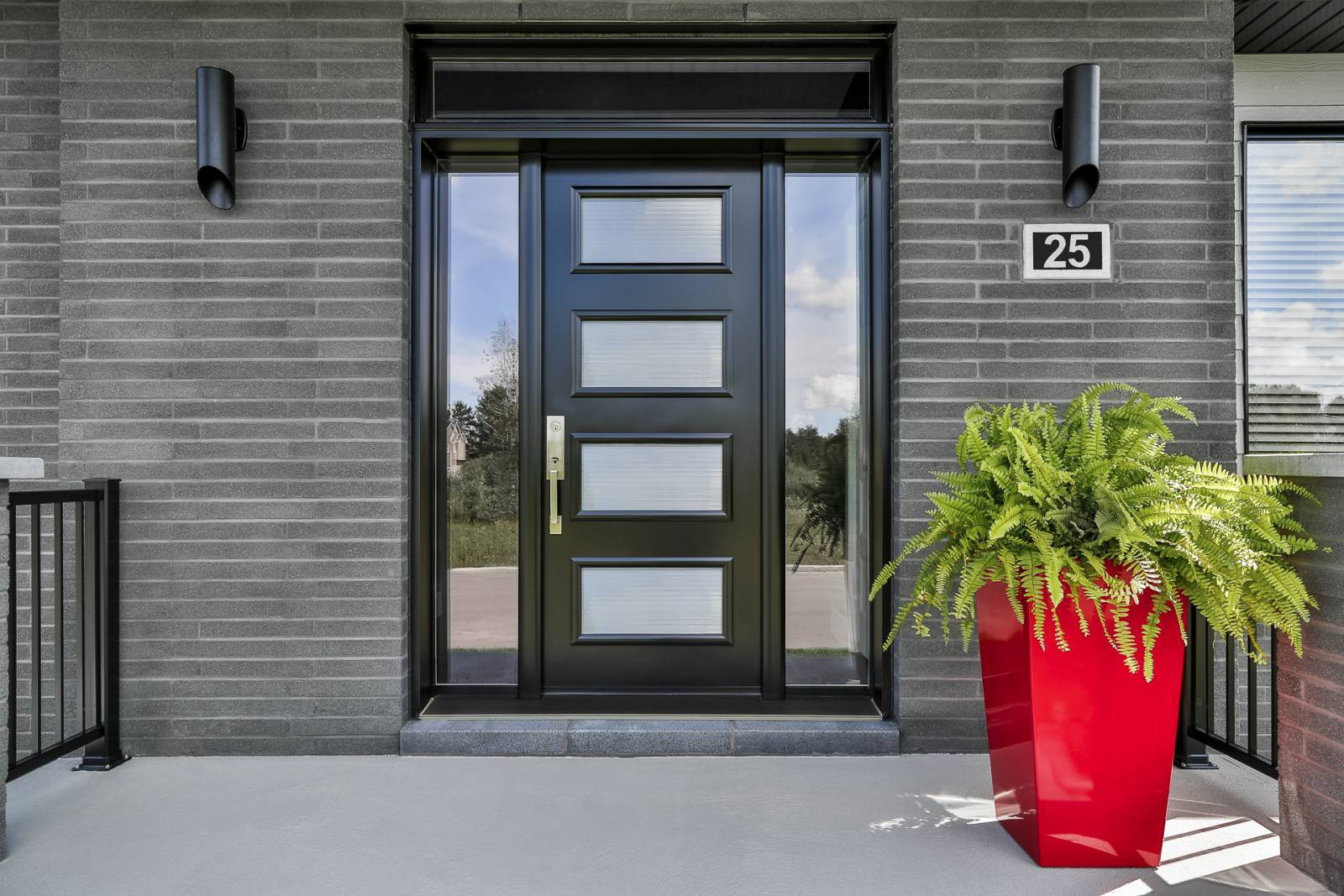Porte d’entrée en acier noire Fenplast avec fenêtres assorties